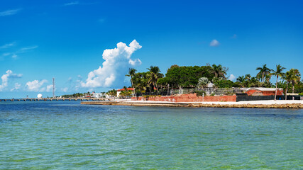 Obraz premium Peaceful island waterfront with blue sky, palm trees, and coastal urban scenery in Florida