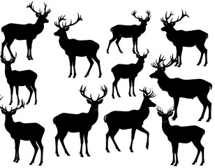 Naklejka premium Silhouette of a deer herd, wildlife concept, black and white.