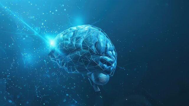 Video A detailed of the human brain's structure and features