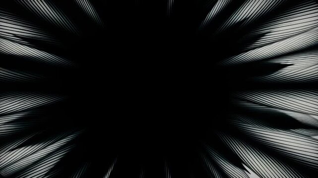 Abstract black ink flower blooming into a grunge splatter pattern on white, ideal for a dramatic monochromatic motion graphics transition.