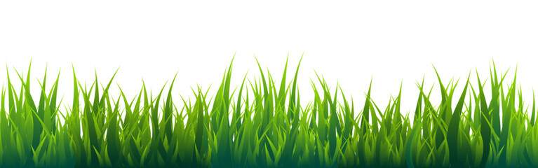 Naklejka premium Meadow silhouette with green grass, plants on plain. Panoramic summer lawn landscape with herbs, various weeds. Herbal border, frame element. Black horizontal banners. Vector illustration