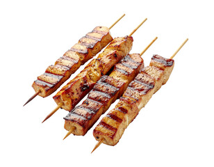 shish kebab on the grill