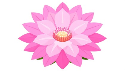 Fototapeta premium Elegant Pink Lotus Flower Illustration on White Background.