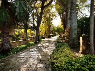 Fototapeta premium Sunny stone path in lush green garden with palm trees and sun shadows. A tranquil, no-people, horizontal, color image of a beautiful, traditional, outdoor park or garden setting, ideal for travel, nat