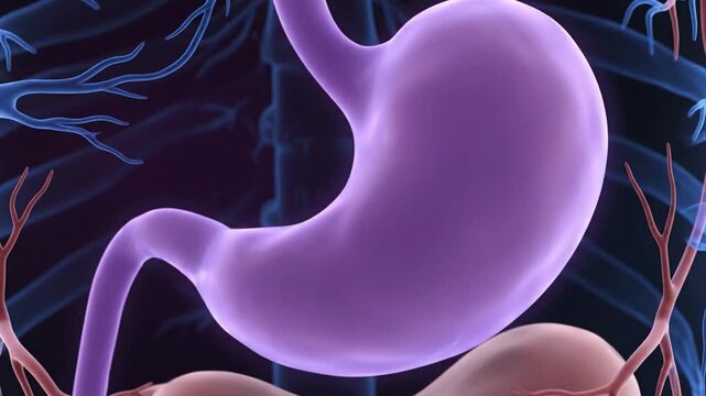 3D medical visualization of pancreas and insulin release