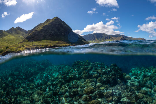 Over under ocean view showing coral reef underwater and green mountains above the surface on the west coast of Oahu, Hawaii, in clear blue tropical water.