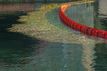 Barrier on the river to block debris © pierluigipalazzi
