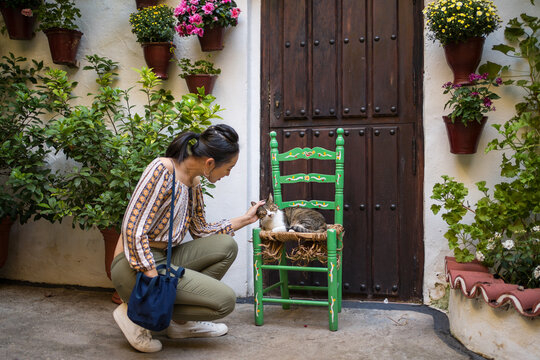 Traditional Cordoban courtyard with visitor and cat