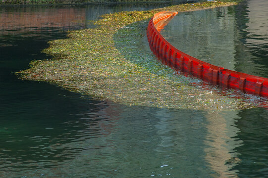 Barrier on the river to block debris