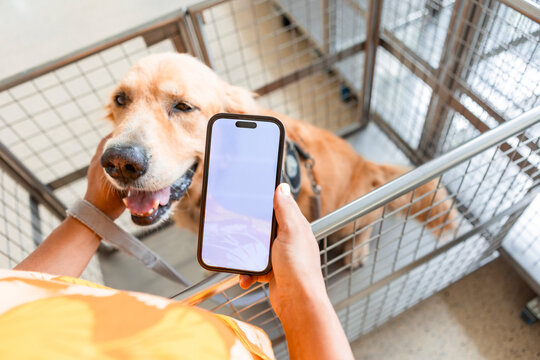 Woman uses smartphone with golden retriever at vet