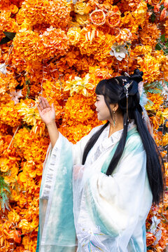 Woman in hanfu admiring vibrant floral display