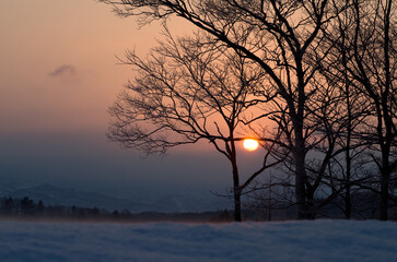 氷点下の夜明け樹氷と朝靄