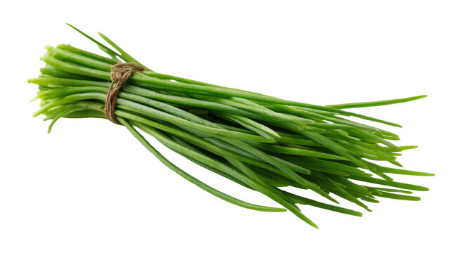 Fresh green chives bunch herb vegetable ingredient isolated for healthy cooking organic food culinary agriculture design freshness nutrition diet on white background
