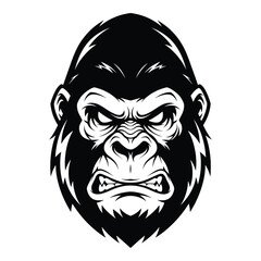 Obraz premium Angry gorilla face illustration with fur and teeth on white background aggressive monkey head
