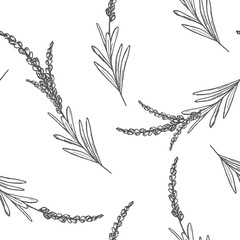Ink illustration seamless pattern with lavender branches and flowers, hand drawn graphic line art for wellness branding, beauty packaging, textile design or natural cosmetics projects. © Evgeniia