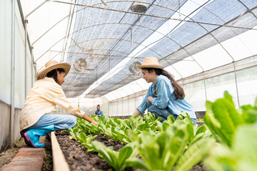 Young smart farmers caring and inspecting vegetables plant seedling in greenhouse farm. Teamwork student learn sustainable agriculture, organic farming, urban gardening, eco-friendly food production. © CandyRetriever 