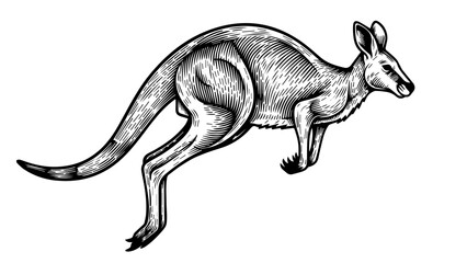 Fototapeta premium Black and white illustration of a kangaroo in mid-stride pose