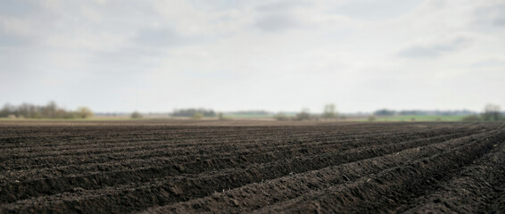 Plowed farmland landscape under cloudy sky in spring season  