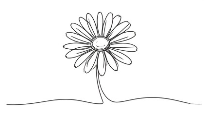 Single Line Daisy Flower Illustration with Delicate Petals.