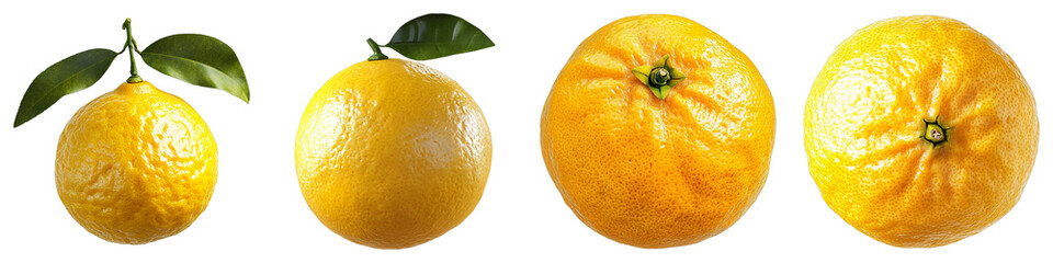 Various Fresh Ripe Citrus Fruits: Lemons and Oranges. A bright display of lemons and oranges, perfect for showcasing the variety and vibrant colors of citrus.