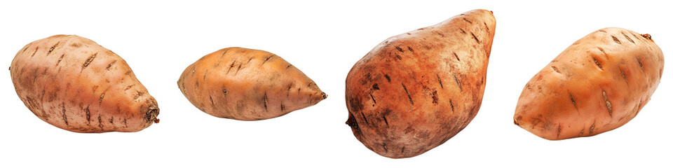 Four sweet potatoes arranged. Showing the rich texture and vibrant colors of the sweet potato. A focus on healthy eating.