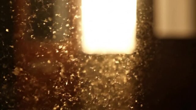 Dust Motes in Light Microcosmic, everyday phenomena