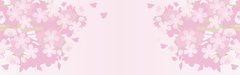 Obraz premium Cherry Blossom Background Banner. Sakura Flowers Frame