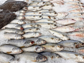 Fototapeta premium Fresh fish on ice at market