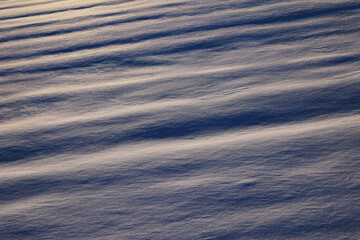 朝日の当たる雪原