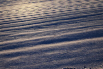 朝日の当たる雪原