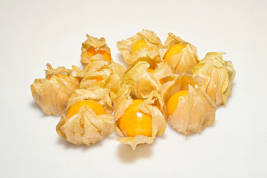 Whole cape gooseberry fruits with inflated, papery calyx enclosing each berry, set against white background