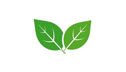 Fototapeta premium Two green leaves representing nature, growth, and environmental consciousness.