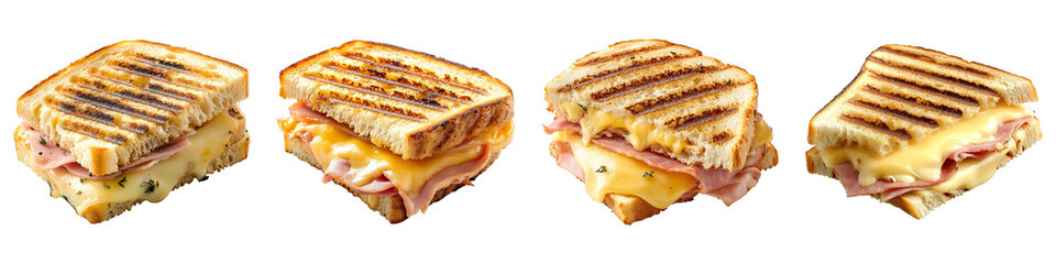 Gourmet grilled sandwiches. Showing the tasty sandwich in studio shot. The bread has a nice grill pattern with different fillings.