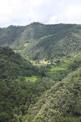 Obraz premium Nature photography in the mountains of Mexico.