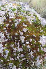 Obraz premium photography of nature in popocatepetl volcano in Mexico