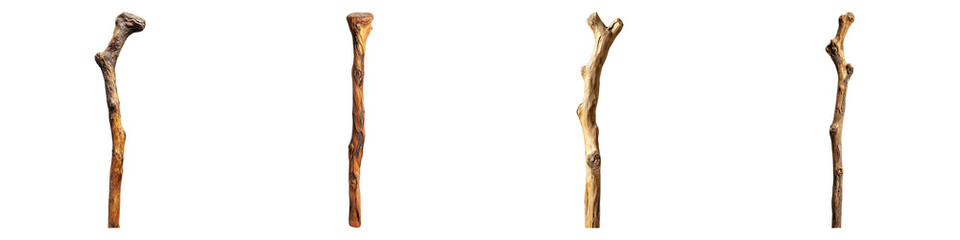 Four different wooden walking sticks lined up. Each stick is made of wood, and has a unique shape and texture.