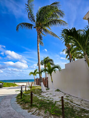 palm trees on the beach in Puerto Morales