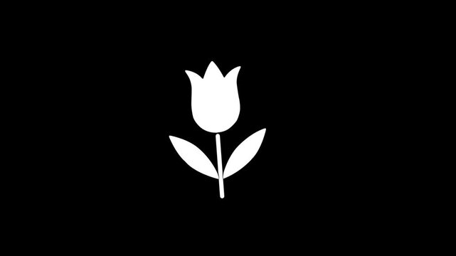 Simple white tulip flower icon with two leaves on a black background symbol nature