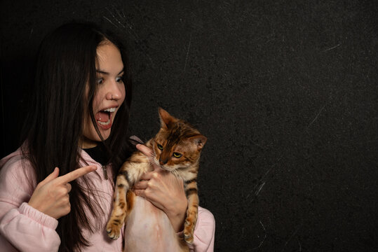 Conflict owner and pet