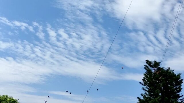Beautiful white clouds scattered across the sky on a clear day.. Las hermosas nubes blancas dispersas&nbsp; sobre el cielo&nbsp; en un d&iacute;a despejado.(2)