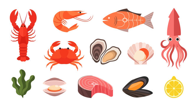 Variety of seafood illustrations lobster shrimp fish oyster clam squid vector