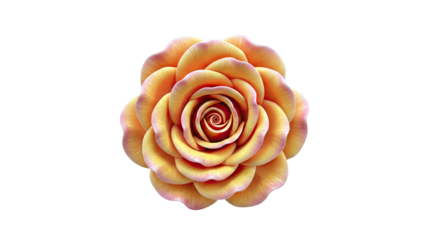 Close-up of a Vibrant Orange Rose Bloom