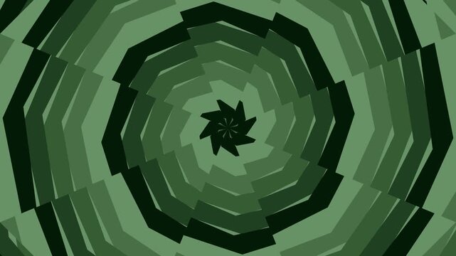 Aerial view of a green leaf surrounded by concentric octagons in a graphic pattern