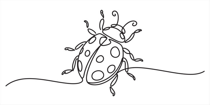 A minimalist single line drawing of a charming ladybug on a clean white background