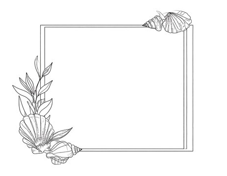 Monochrome illustration of a square frame with seashell and leaf embellishments in two corners, creating an elegant border