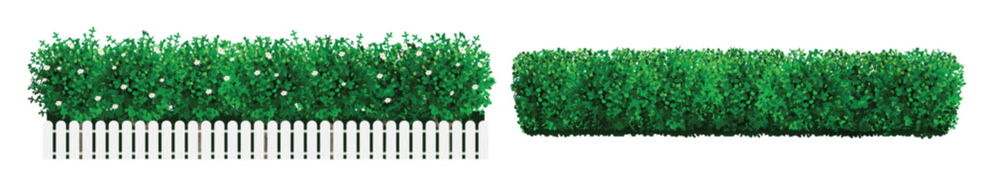 Bush in the form of a green hedge 
