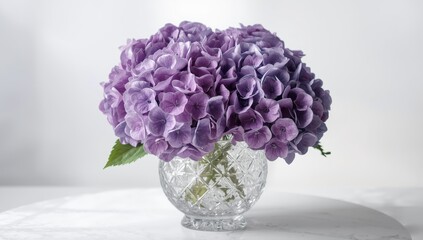 Lovely purple hydrangeas in a vase