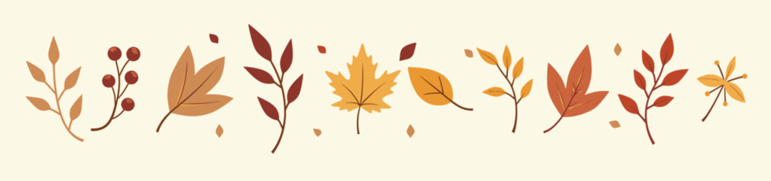 assorted autumn leaves in vibrant shades of orange red and