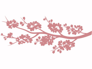 Silhouette of a dusty rose cherry blossom branch on a white background