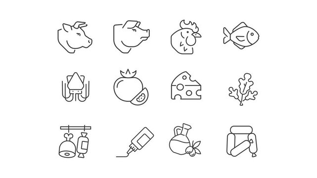 animal icons set. video